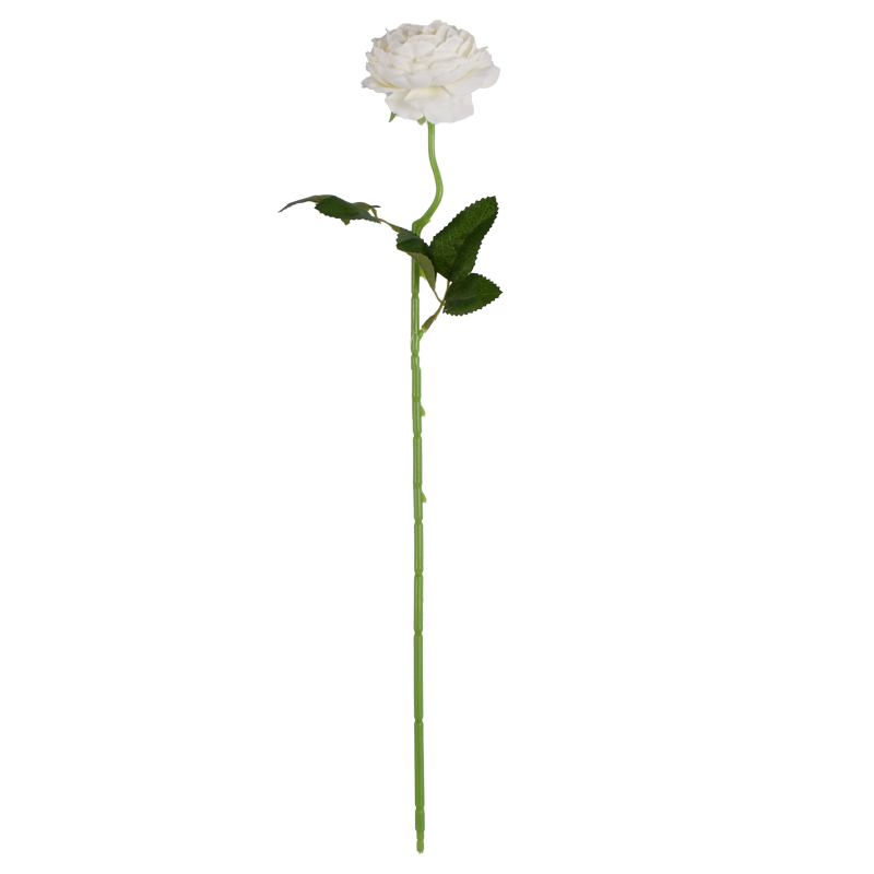 MCPF00410-B