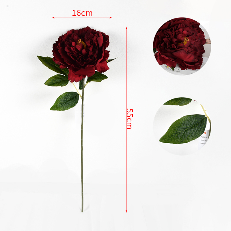 MCPF01068-B