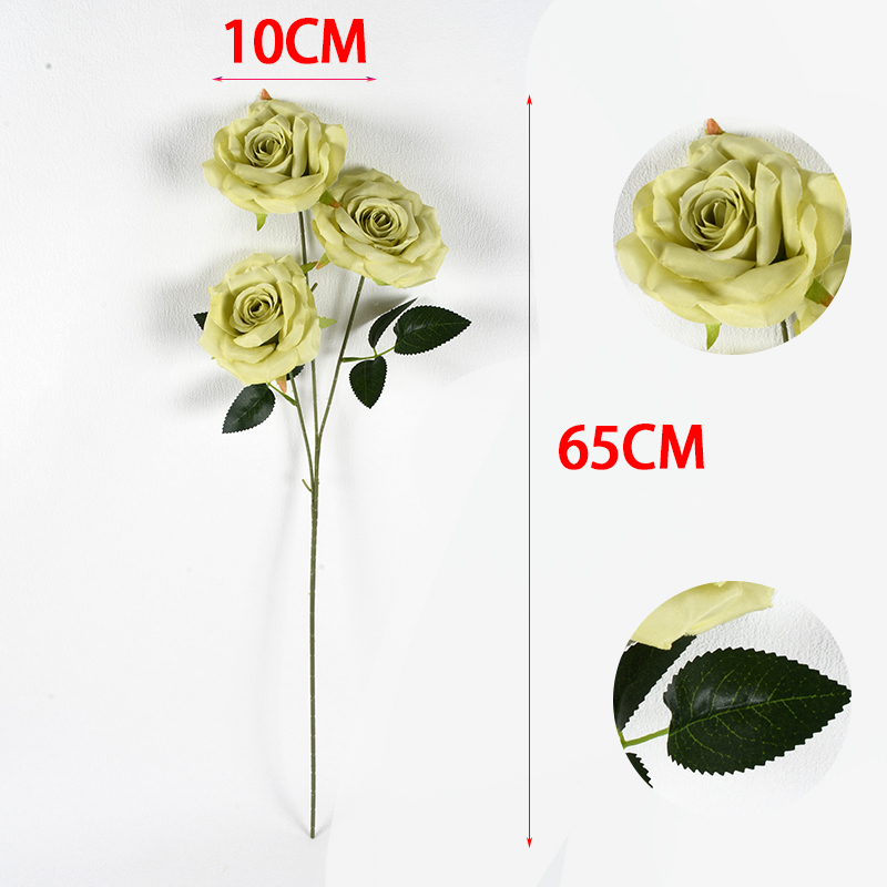MCPF01282-B
