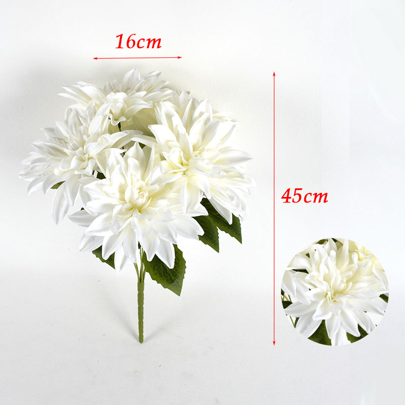 MCPF01048-E