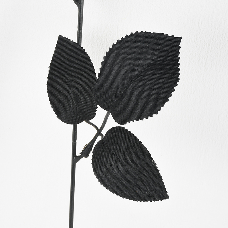 MCPF01341 (6)